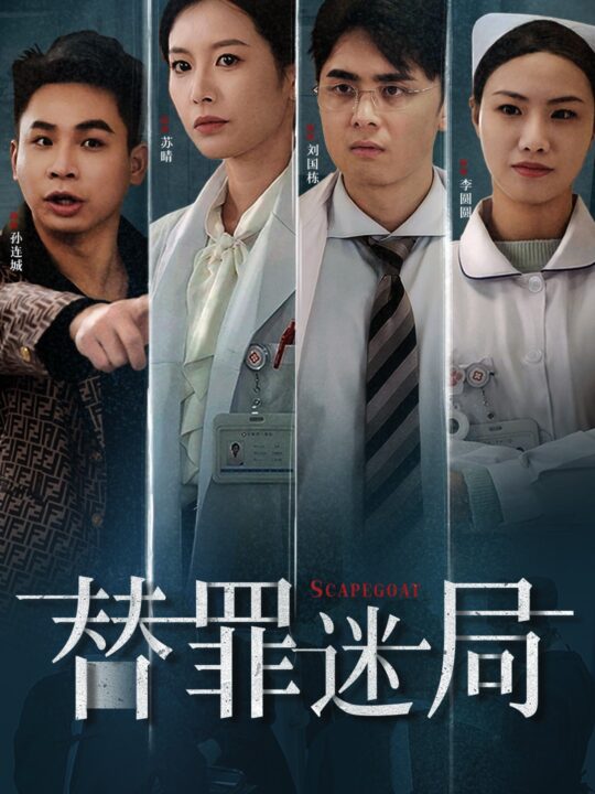 18125-替罪迷局(42集)