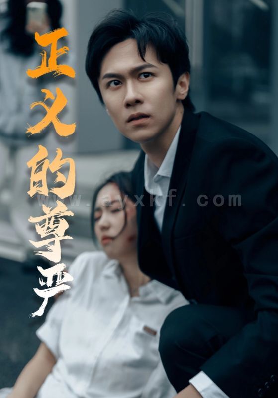 17162-正义的尊严(35集) 最新 图1张