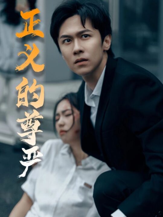 17162-正义的尊严(35集)