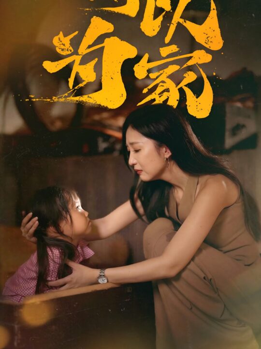 17876-何以为家(36集)