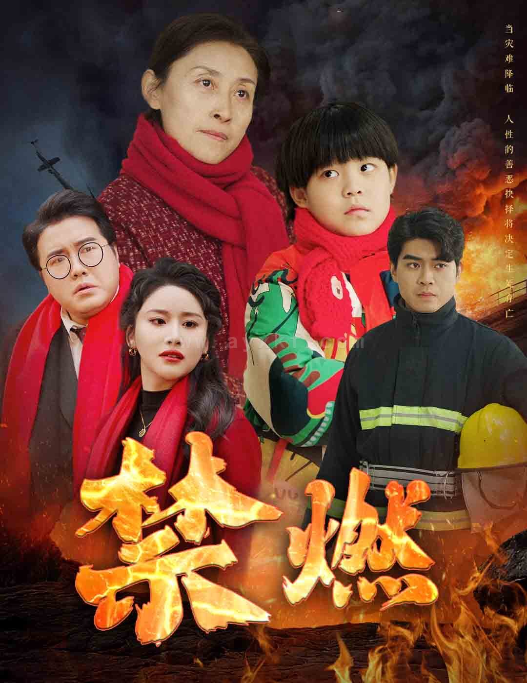 17328-禁燃(30集) 最新 图1张