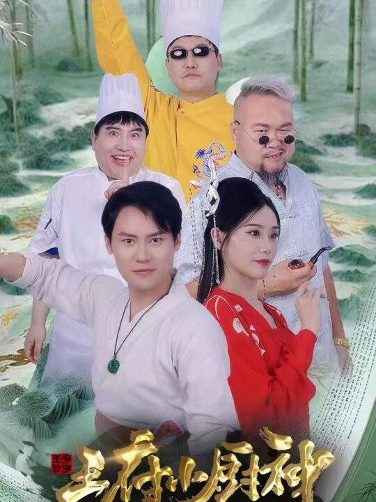 18056-王府小厨神(67集)范新彤