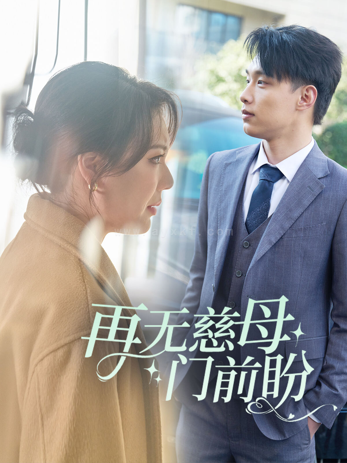 17837-再无慈母门前盼(30集) 最新 图1张