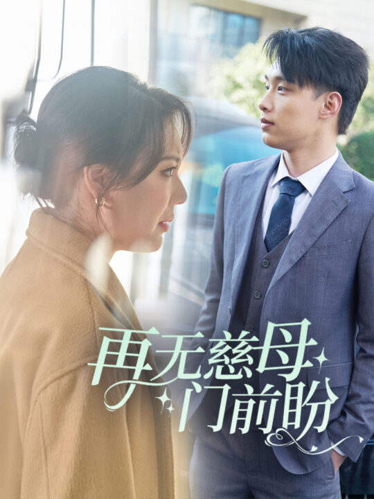 17837-再无慈母门前盼(30集)