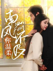 17831-南风不及你温柔(74集)谢鸿鑫＆李丫丫