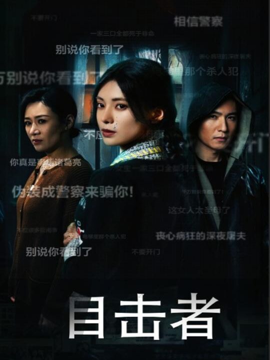 17485-目击者-深夜伪装(30集)