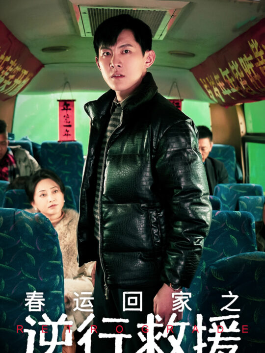 17316-春运回家之逆行救援(61集)