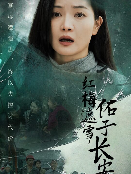 18016-红梅遮雪佑子长安＆童心如白纸莫使染尘埃(31集)