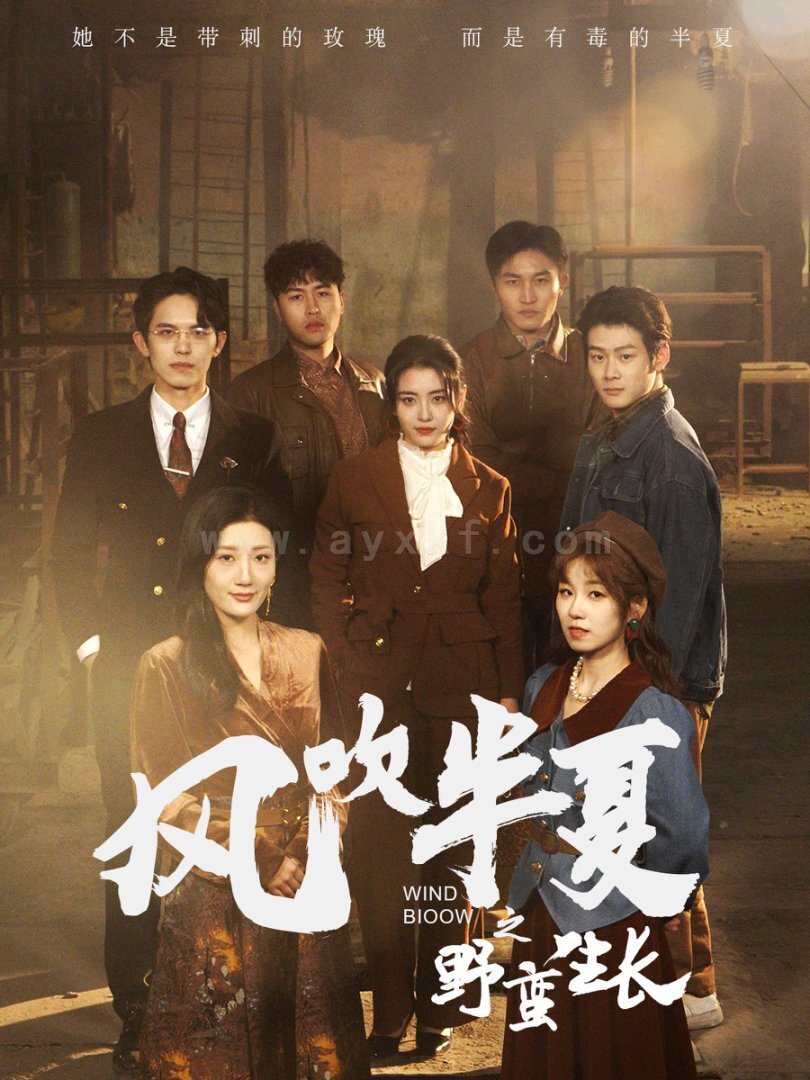 17317-风吹半夏之野蛮生长(59集)宋暖 内容图1 一个实时收录全网最齐全的短视频短剧网剧小剧场的网站! 17317-风吹半夏之野蛮生长(59集)宋暖 最新 图1张