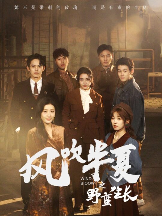 17317-风吹半夏之野蛮生长(59集)宋暖
