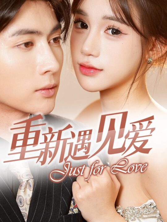 17835-重新遇见爱-换婚后我成了大哥的心尖宠(36集)王子林