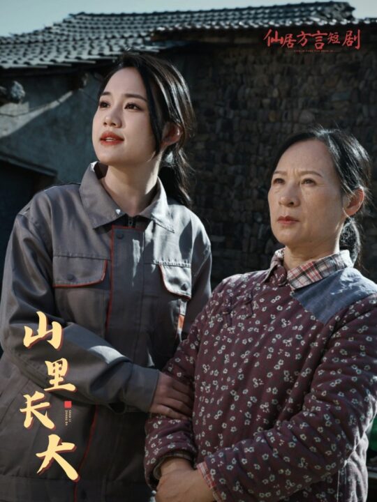 17509-山里长大(32集)