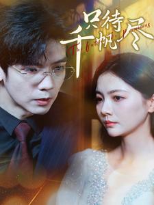 18041-只待千帆尽(40集)