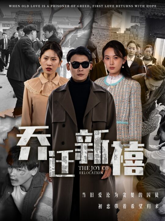 17462-乔迁新禧(43集)