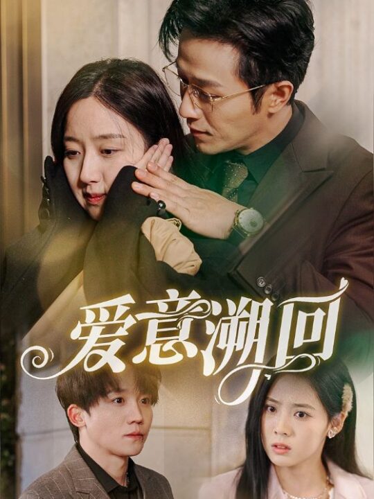 17997-爱意溯回(43集)陈叶玲