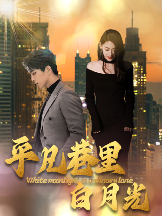 17188-平凡巷里白月光(33集)