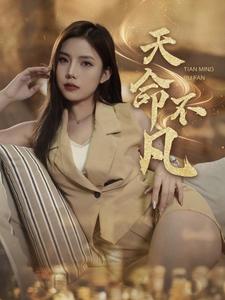 17136-天命不凡(28集)