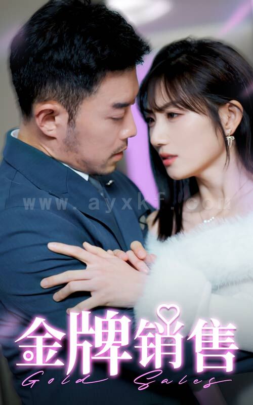 17480-金牌销售(41集) 最新 图1张