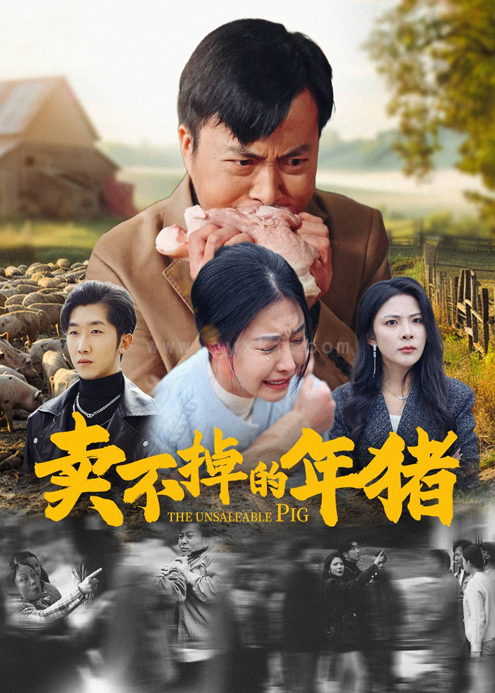 17163-卖不掉的年猪(35集) 最新 图1张