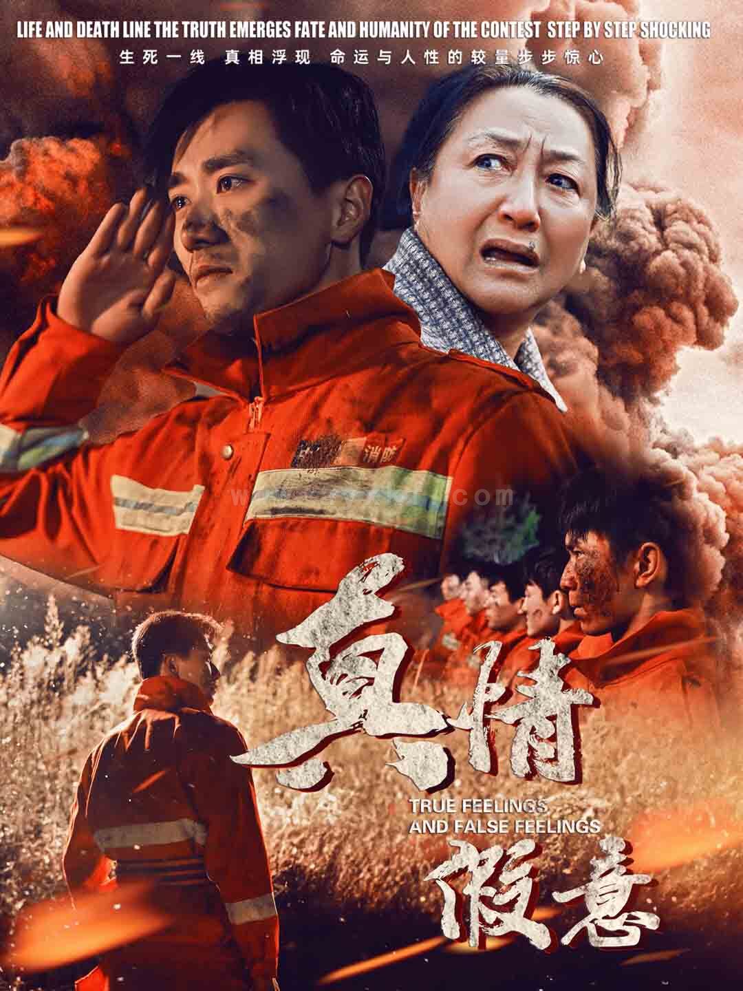 17704-真情假意(62集) 最新 图1张