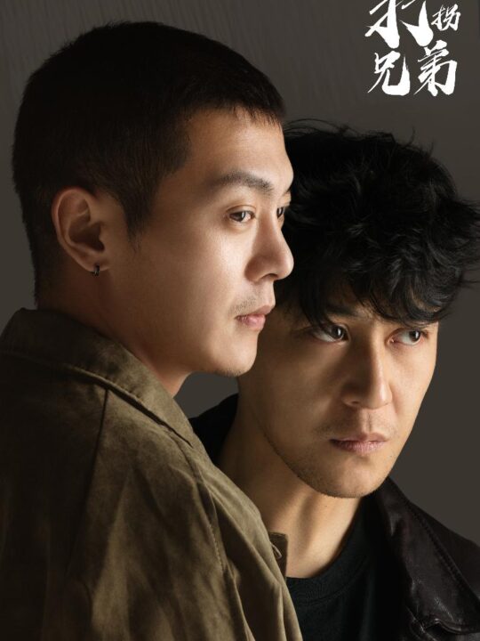 17846-打拐兄弟(30集)钱谦