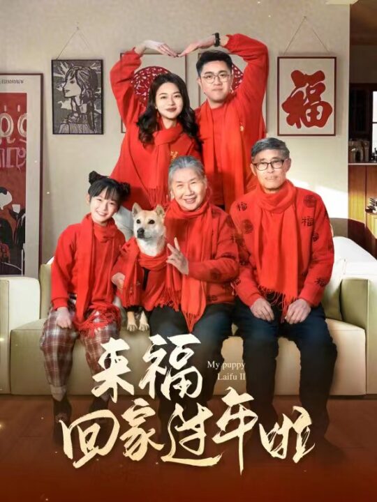 17487-来福回家过年啦(34集)