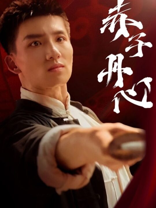 17611-赤子丹心(48集)霍文琦