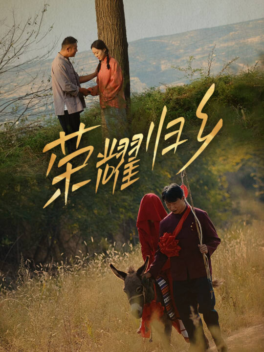 17964-荣耀归乡(64集)