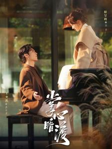 17581-掌心暗渡(69集)王奕然-侯呈玥