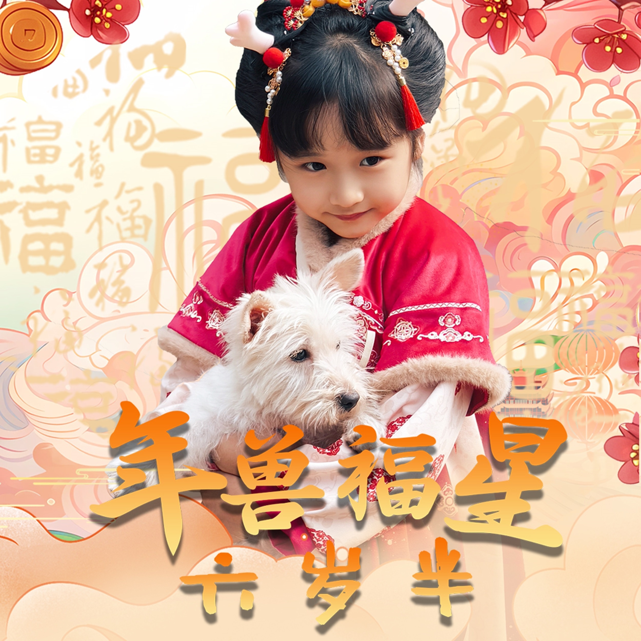 17913-年兽福星六岁半(62集) 最新 图1张