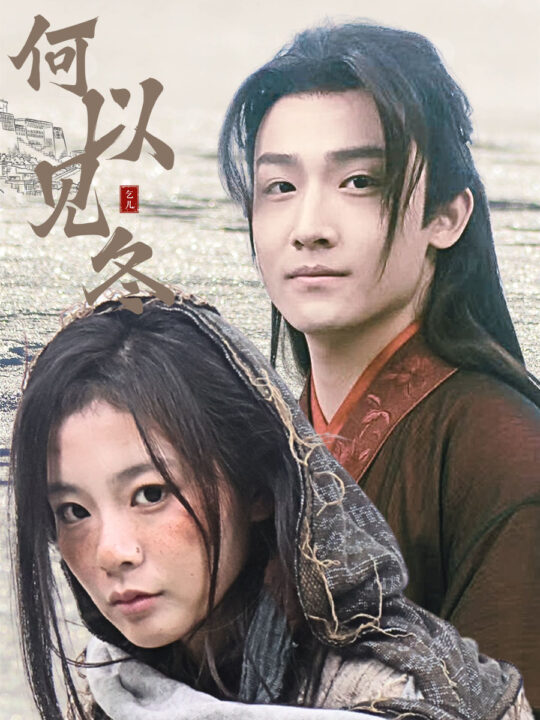 17634-何以见冬-你见过凛冬-双龙夺嫡之我捧夫君上王位(74集)