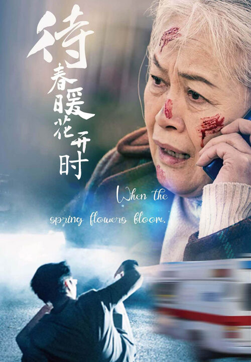 ssd4781-待春暖花开时(43集)