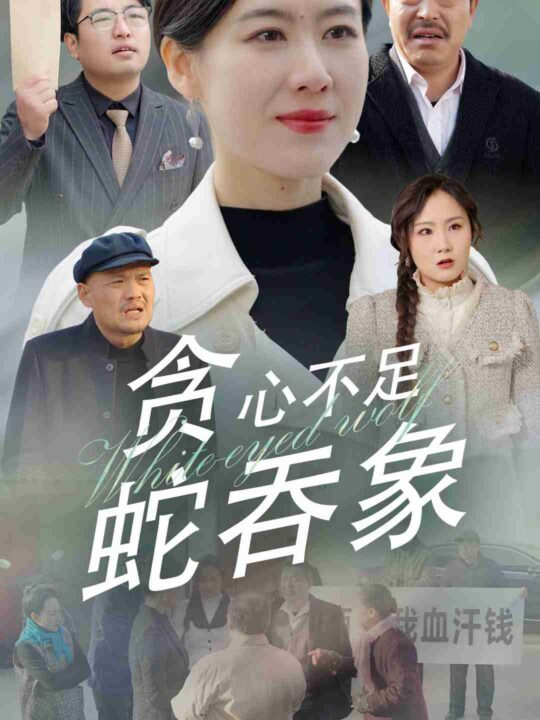 ssd4417-贪心不足蛇吞象(30集)