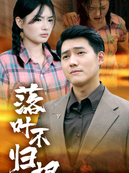 ssd4111-落叶不归根(54集)