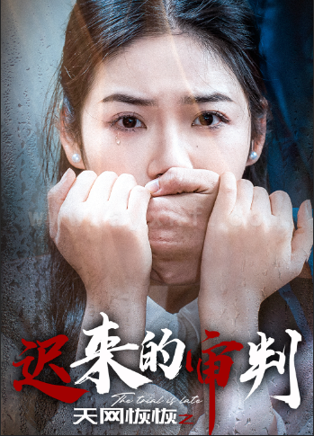 ssd4917-天网恢恢之迟来的审判(31集)李艺璇 最新 图1张