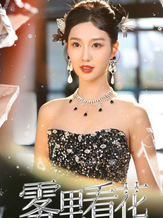 ssd4957-雾里看花(25集)陈云廷＆魏凡舒