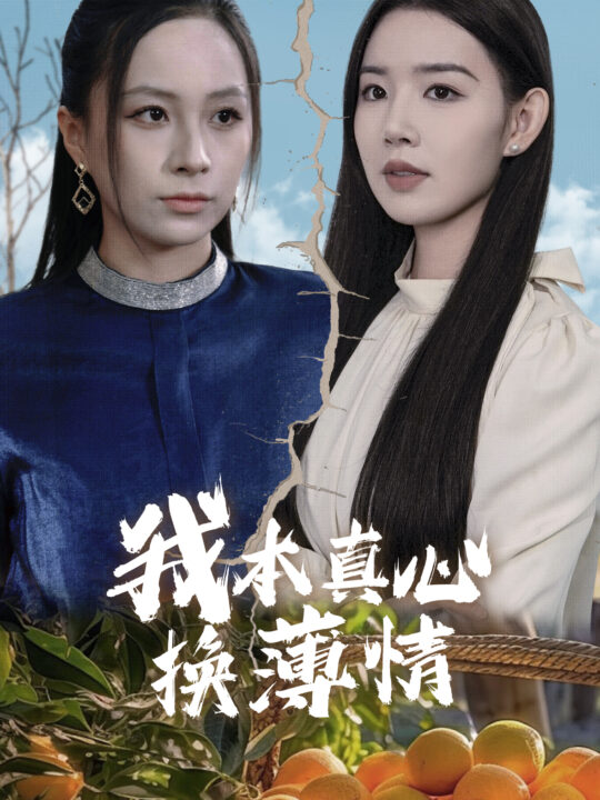 ssd4828-我本真心换薄情(49集)