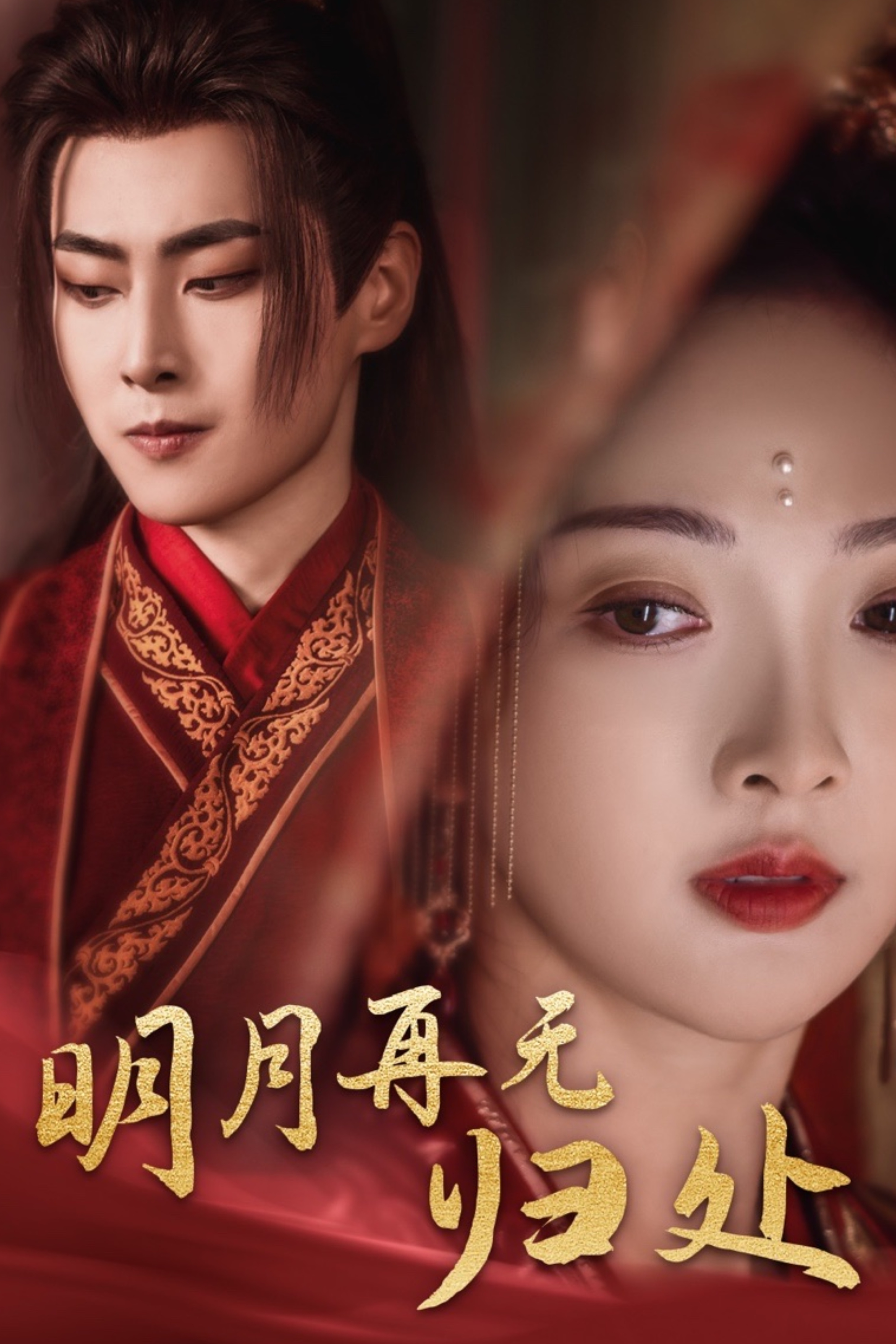 ssd4866-明月再无归处(39集)展轩＆丁果 最新 图1张