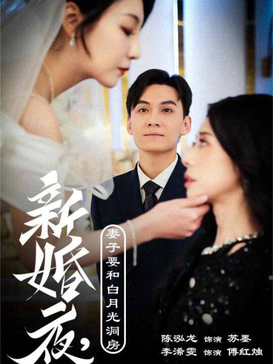 ssd4275-新婚夜-妻子要和白月光洞房-礼尚往来(30集)