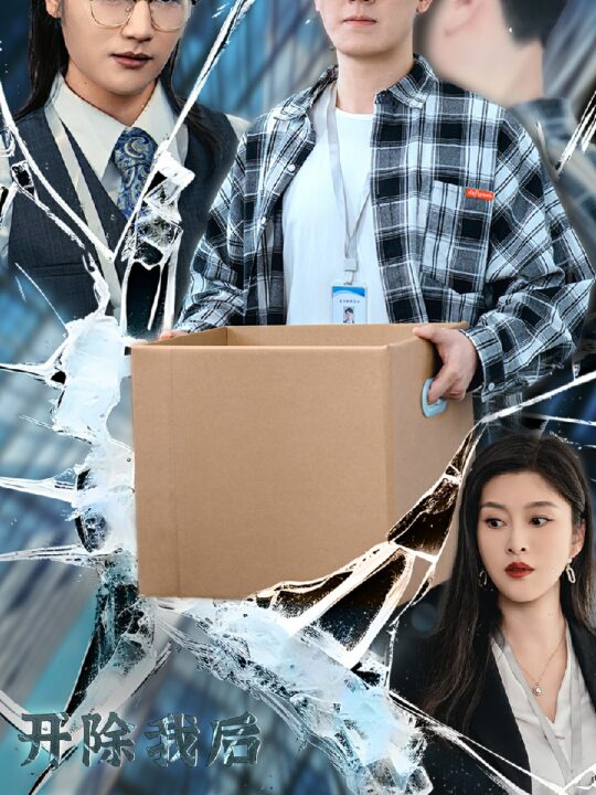 ssd4513-开除我后前公司倒闭了(31集)