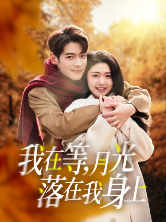 ssd4981-我在等月光落在我身上(79集)董一-张幸运