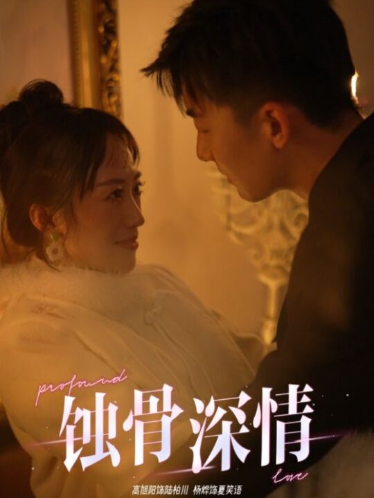 ssd4159-蚀骨深情(54集)