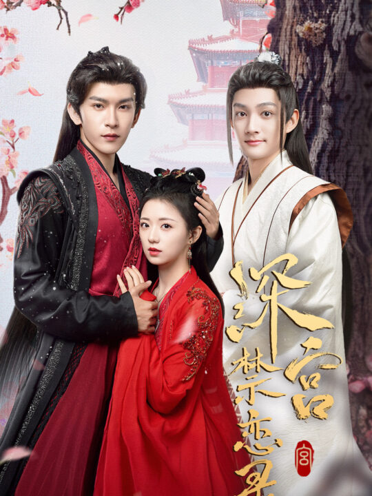 ssd4665-深宫禁恋录(69集)沈照程＆时童