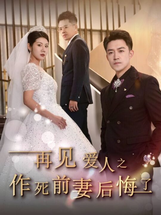 ssd4234-再见爱人之作死前妻后悔了(30集)刘月涛-汪天予