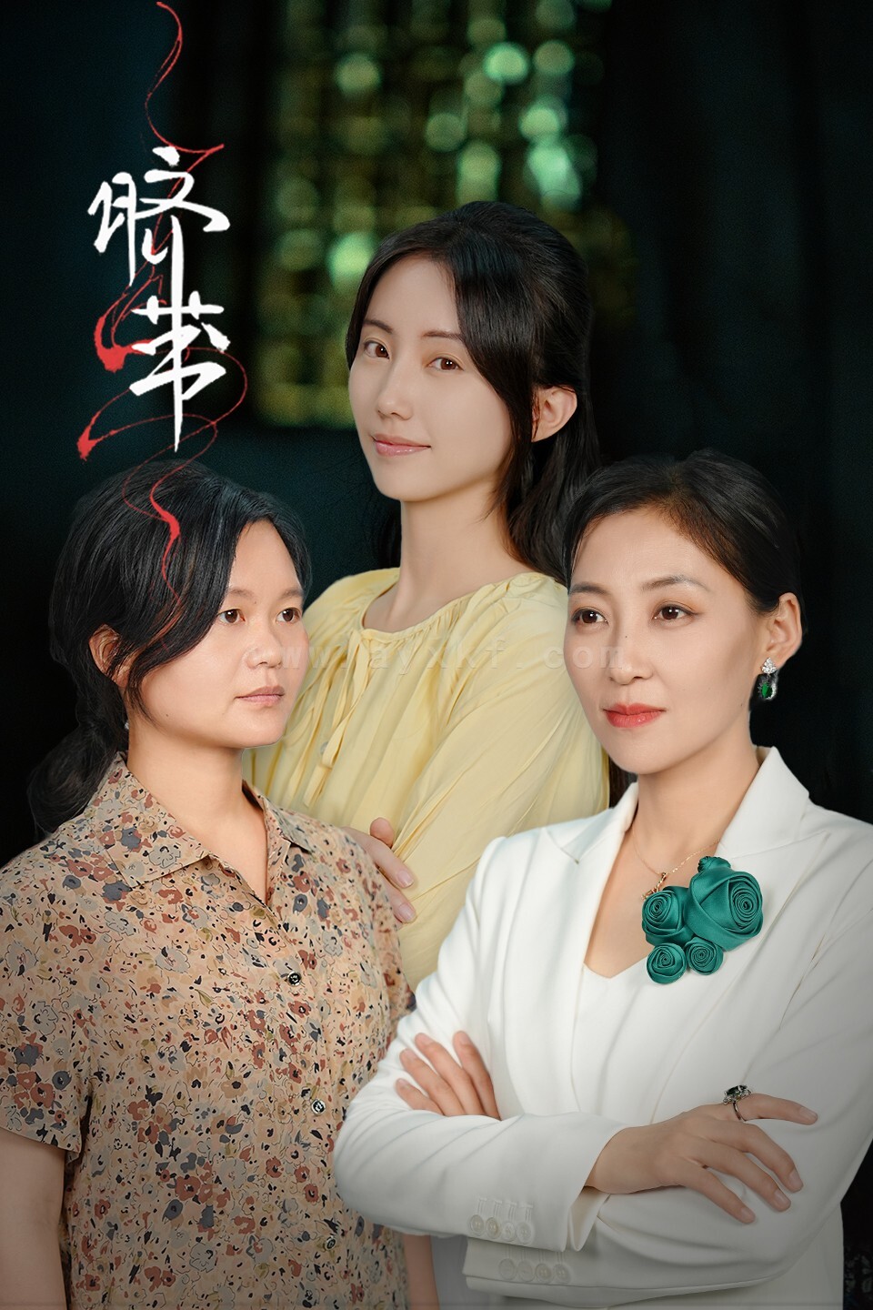 ssd4964-脐带(62集) 最新 图1张