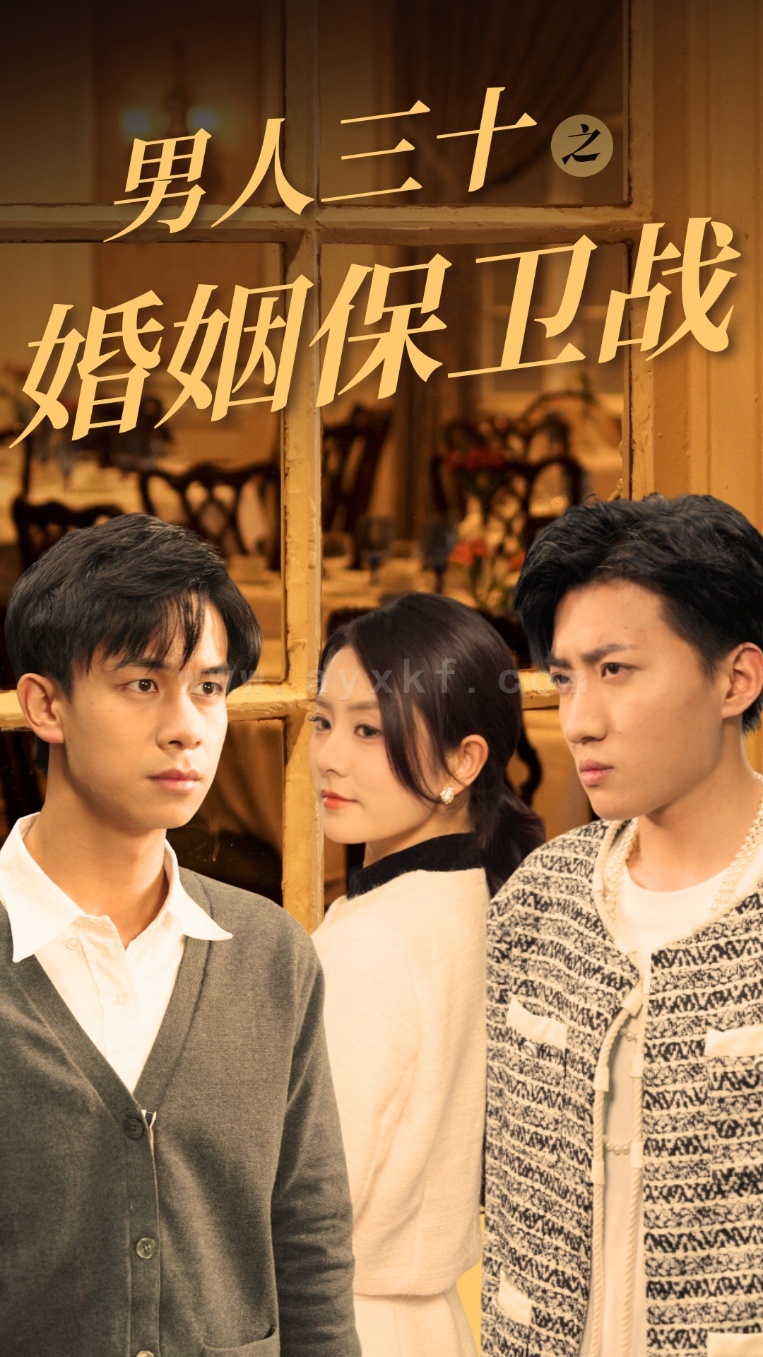 ssd4980-男人三十之婚姻保卫战(31集) 最新 图1张