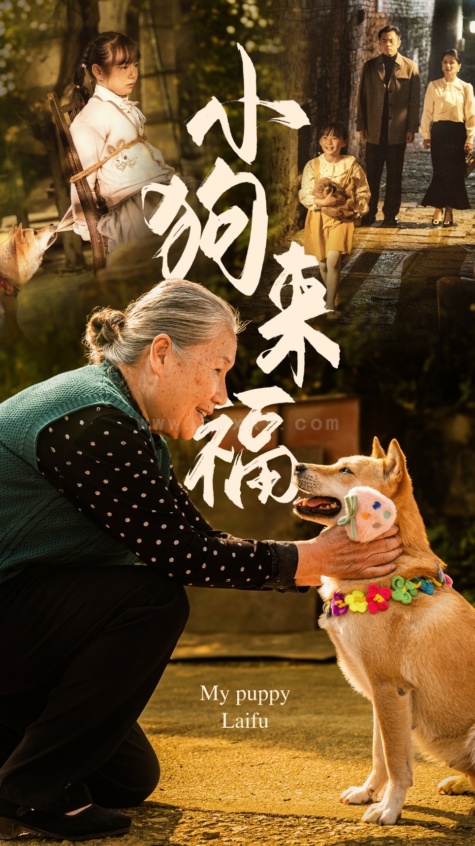 ssd4751-小狗来福(30集) 内容图1 一个实时收录全网最齐全的短视频短剧网剧小剧场的网站! ssd4751-小狗来福(30集) 最新 图1张