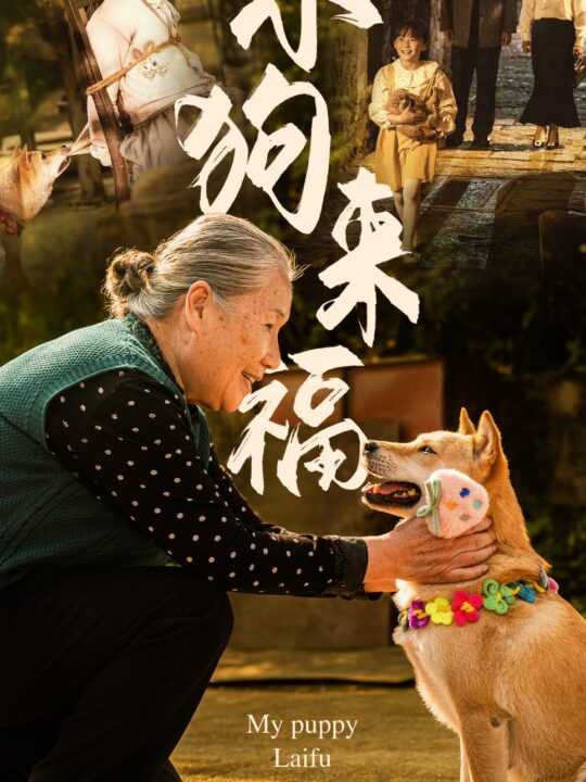 ssd4751-小狗来福(30集)