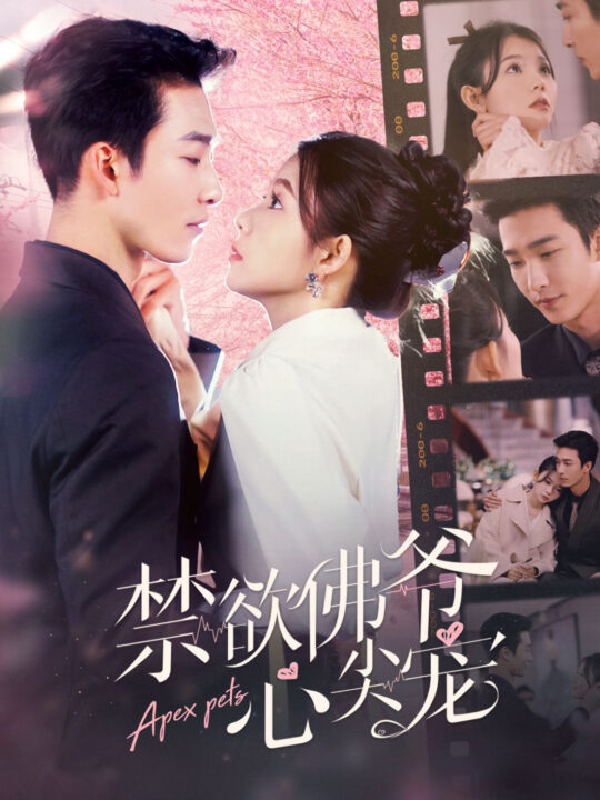 ssd4959-禁欲佛爷心尖宠(101集)姚冠宇-林籽蓉