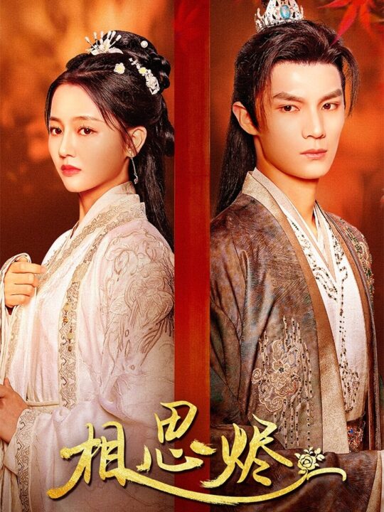 ssd4482-相思烬(62集)